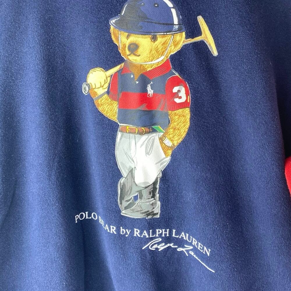 Polo Ralph Lauren Polo Bear Boys Multicolor Colorblock Hoodie Sweatshirt L 14-16 - Picture 3 of 5